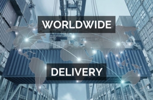 We deliver worldwide